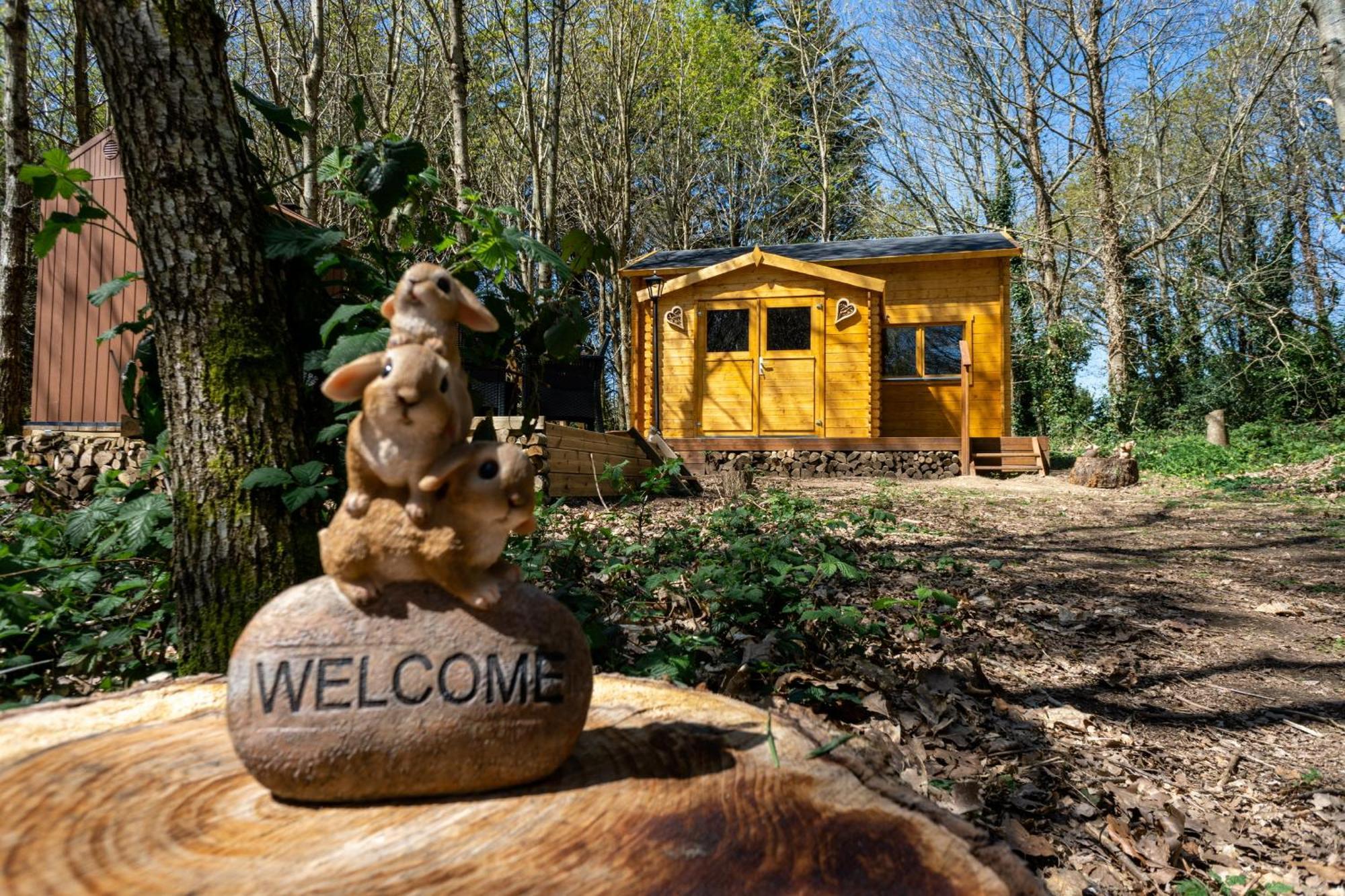 Cabane Insolite Avec Escape Game Saint-Évarzec 外观 照片